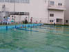 DSCN0548