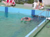DSCN0556