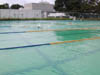 DSCN0567
