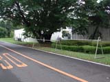 DSCN0001