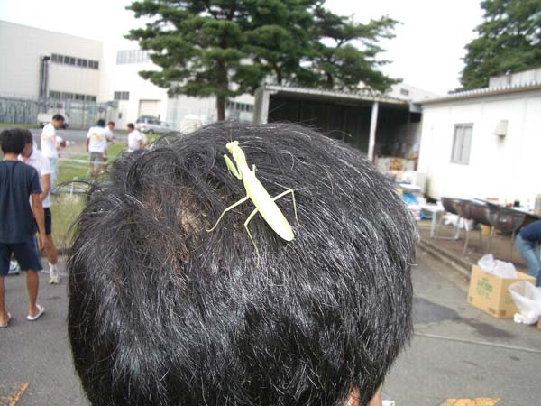nobu_0001