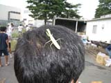 nobu_0001