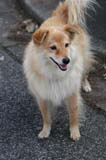 ishimoto_0002