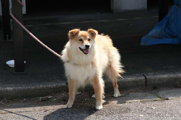 ishimoto_0140