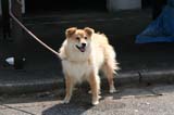 ishimoto_0140