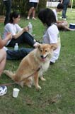 ishimoto_0768