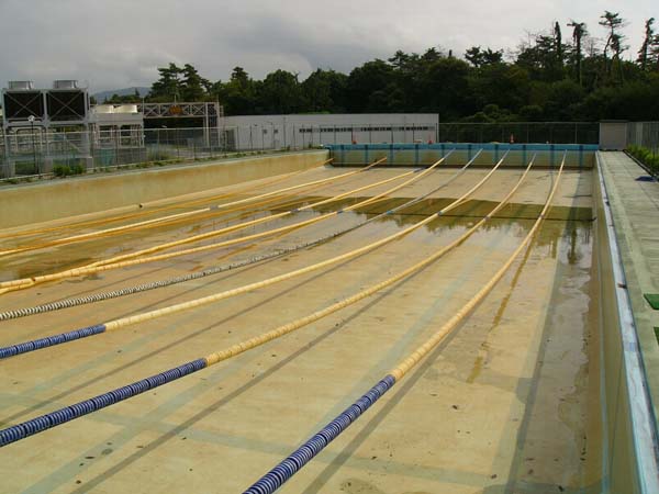 koike_0012