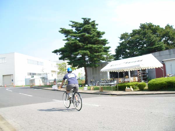 koike_0080