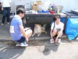 koike_0018