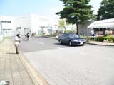 koike_0059