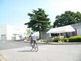 koike_0080