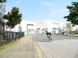 koike_0199