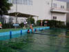 DSCN0003