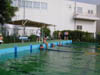 DSCN0004